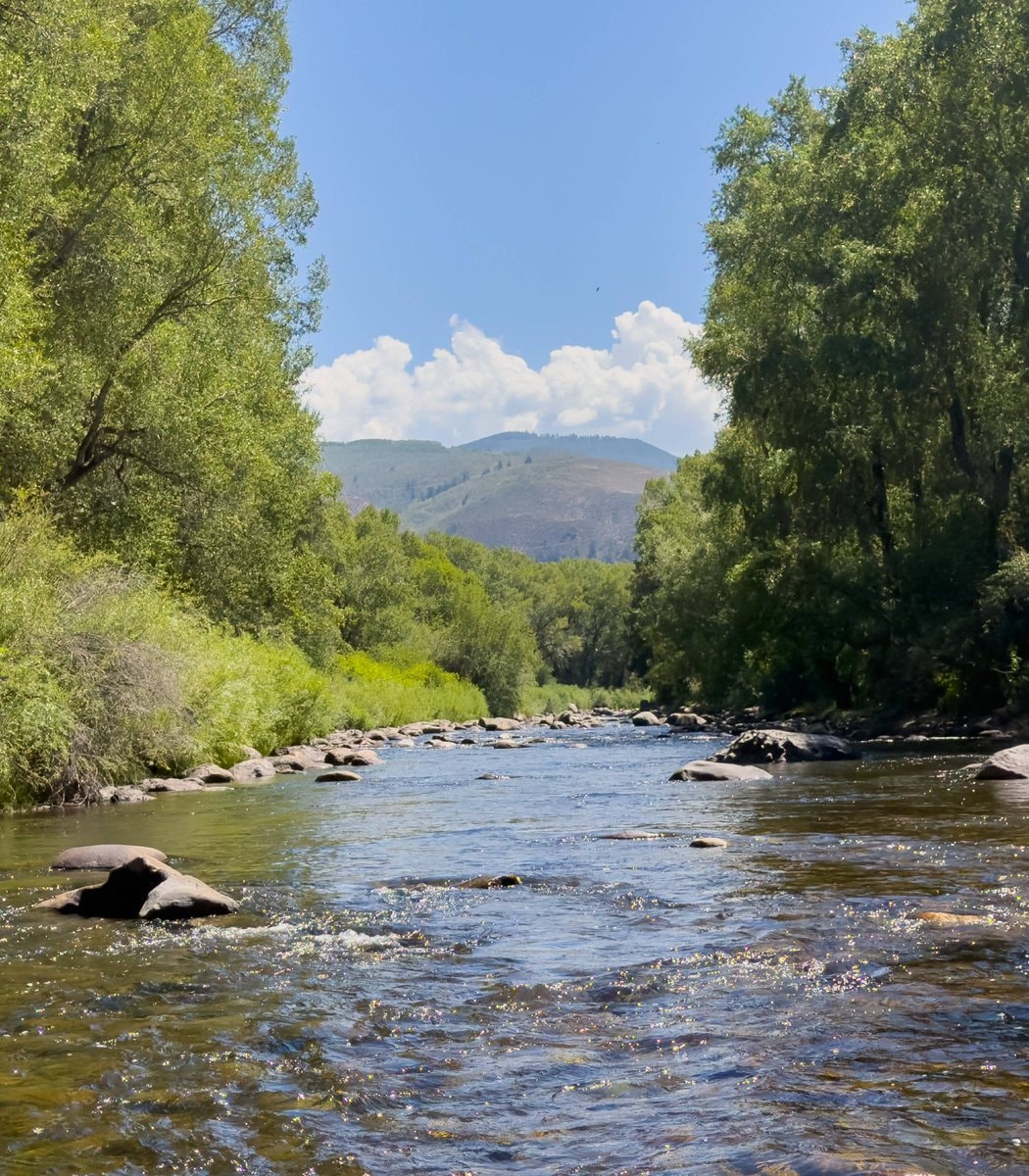 California AI data center sues for Colorado River water (photo 2 of 2)