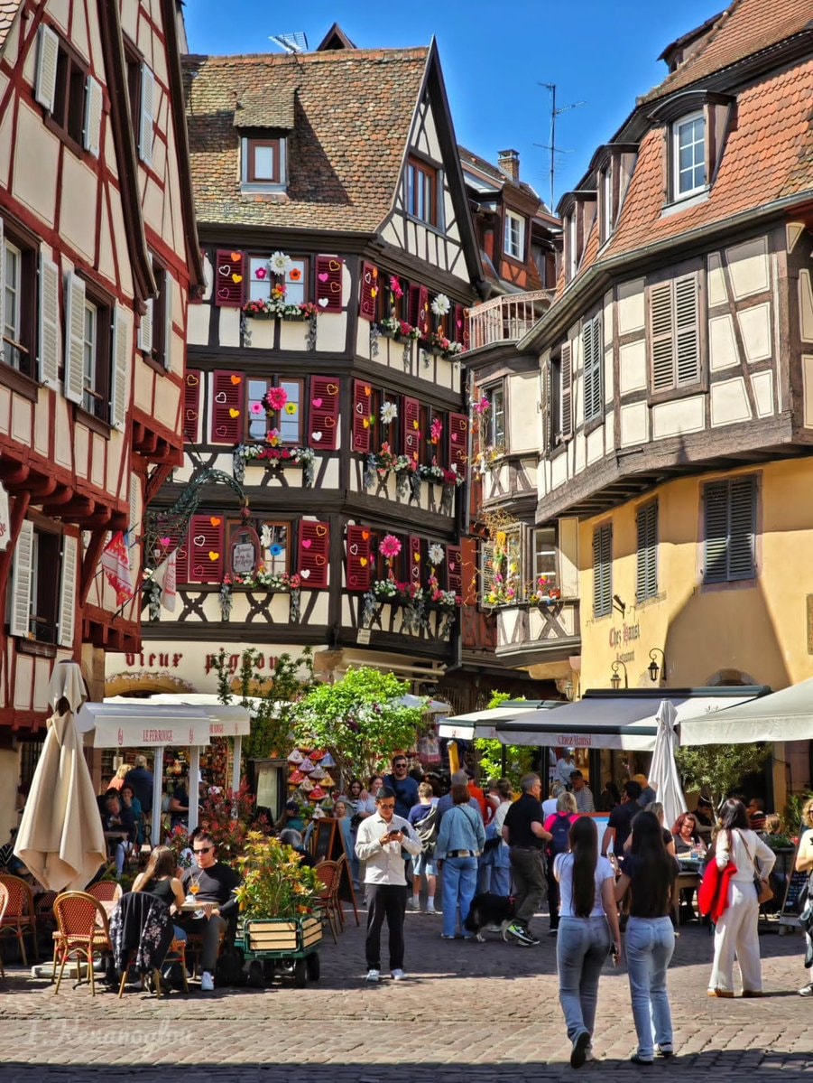 Colmar Alsace France (photo 2 of 4)