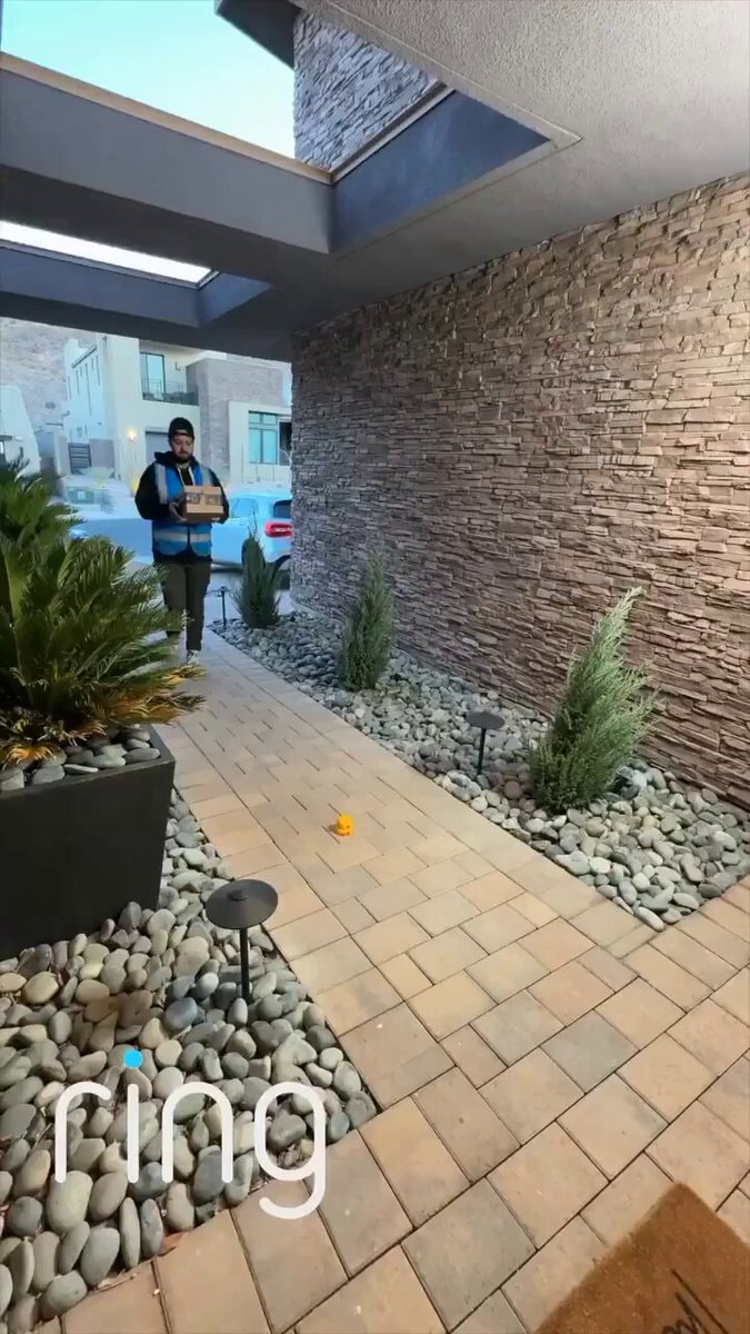 Grandma outsmarts delivery driver