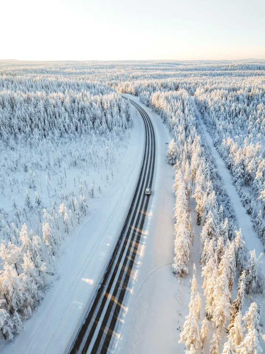 Finland snowy forest aerial (photo 2 of 3)