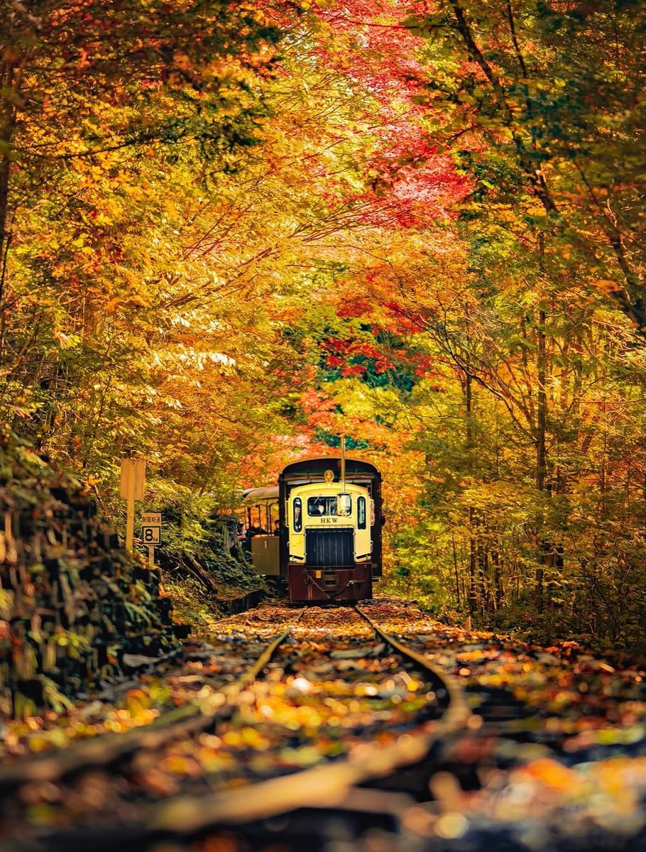 fall in japan (photo 2 of 4)