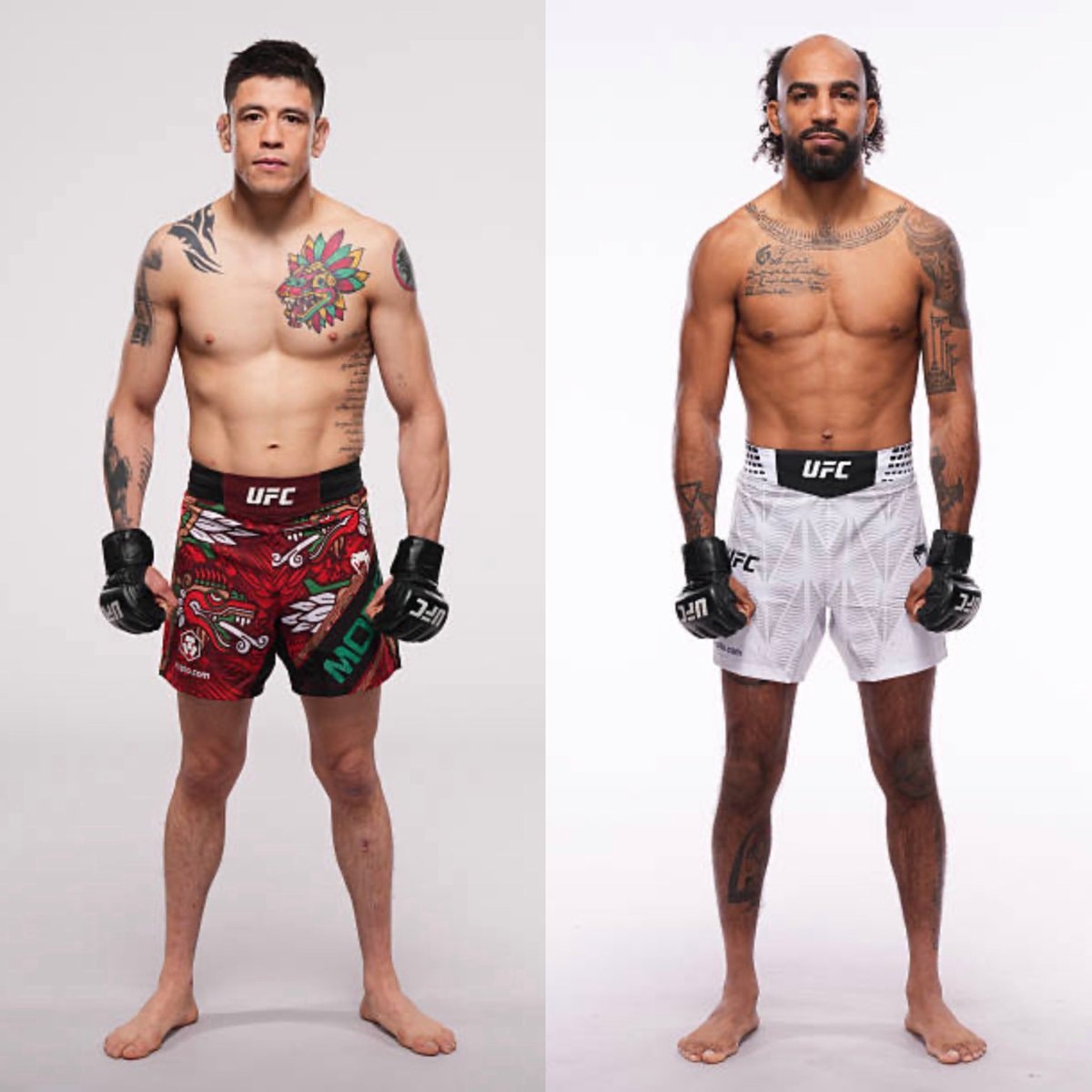 Brandon Moreno vs Charles Johnson