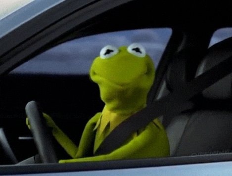 Kermit the Frog skeptical reaction
