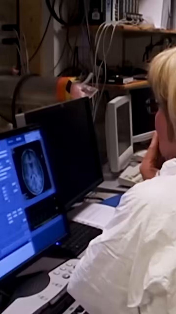 Amy Arnsten brain stress research
