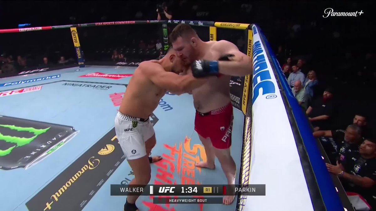 JOHNNY WALKER Flatline KO UFC332
