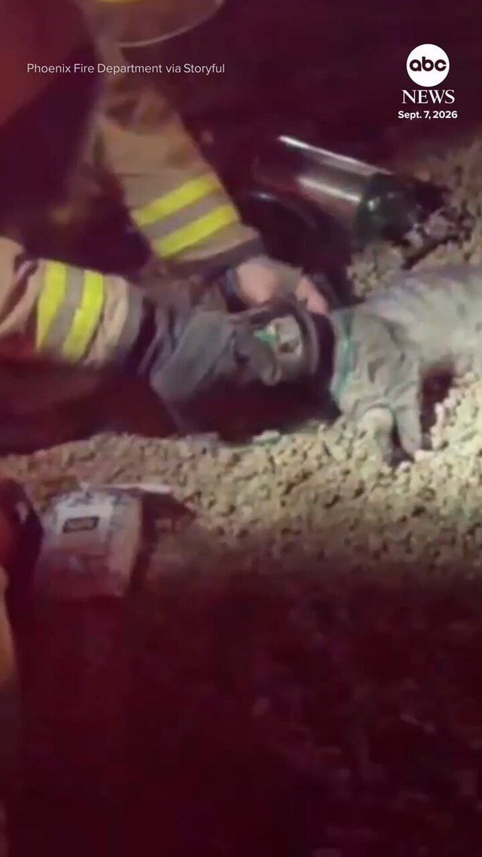 Cat rescued from garage fire