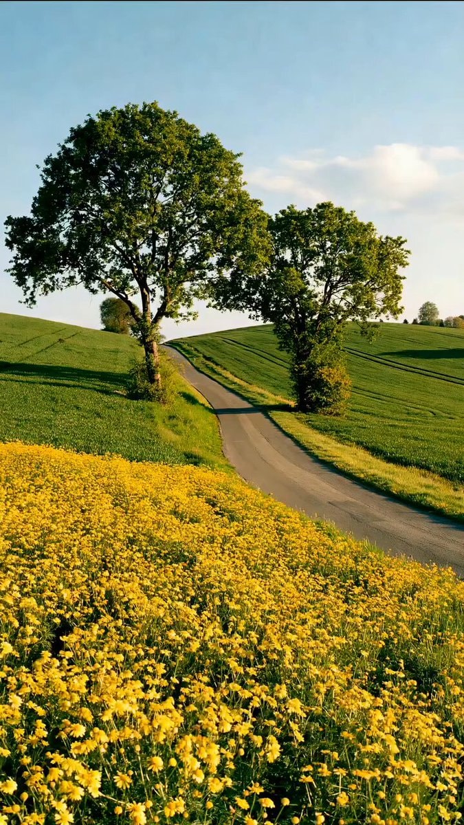 scenic landscape with rolling green hills