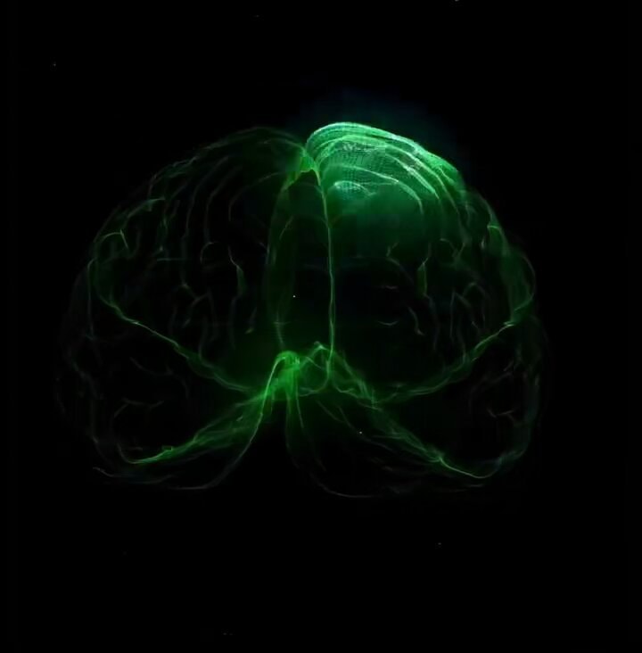brain neuroplasticity self-determination