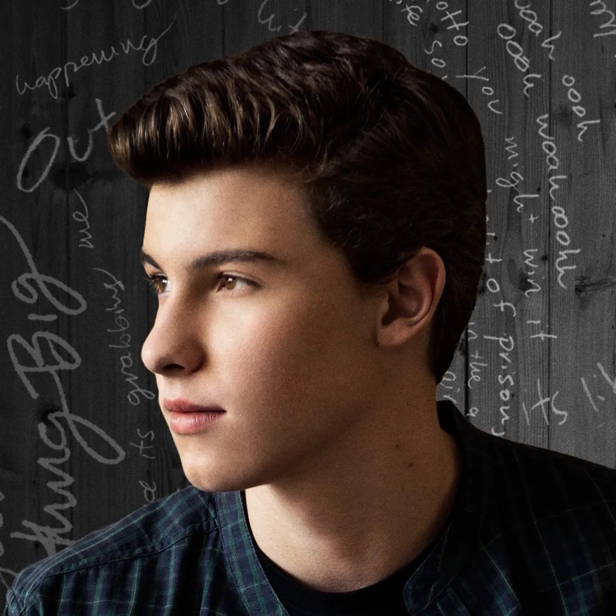 Shawn Mendes Stitches Diamond (photo 2 of 2)