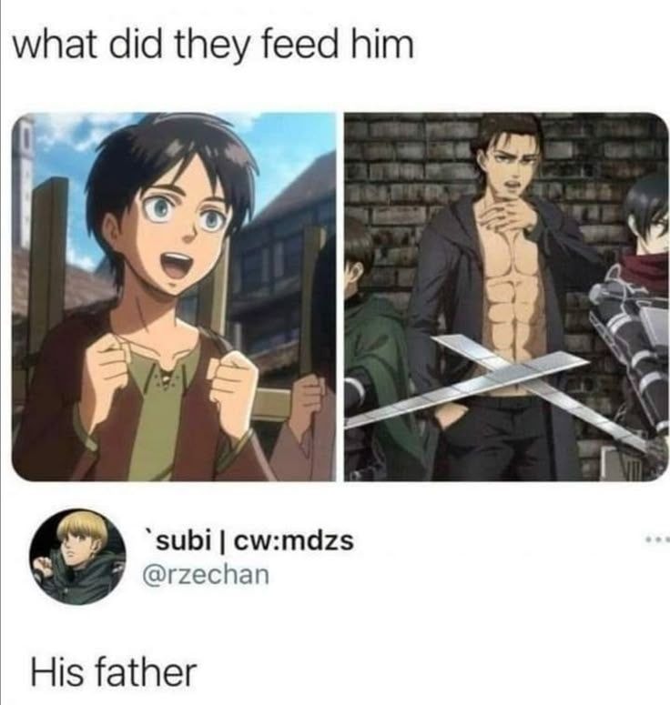 Eren Yeager Attack on Titan meme