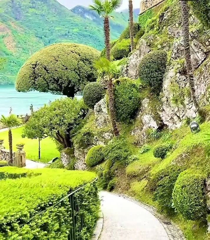 Lake Como Italy gardens (photo 4 of 4)