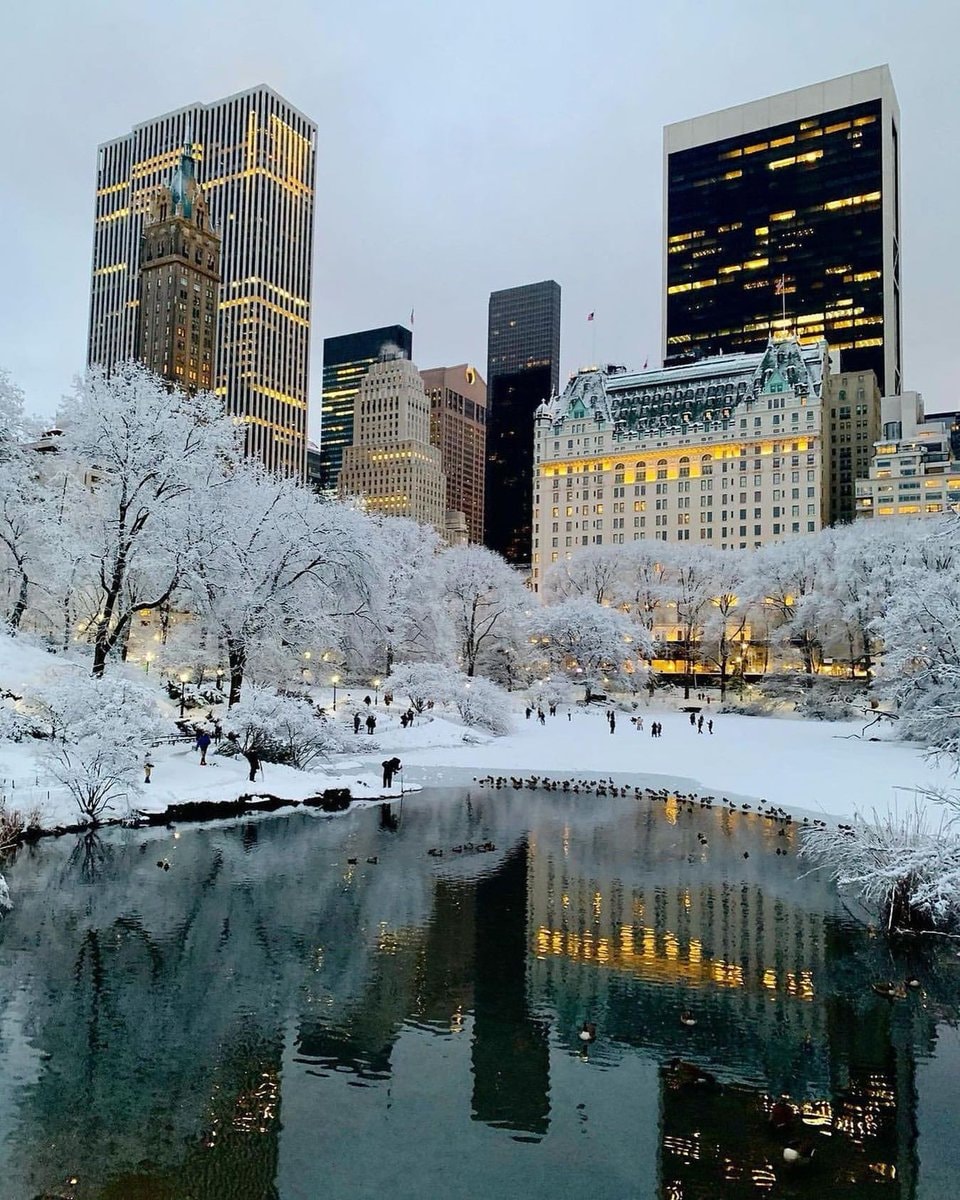 winter in New York (photo 3 of 4)