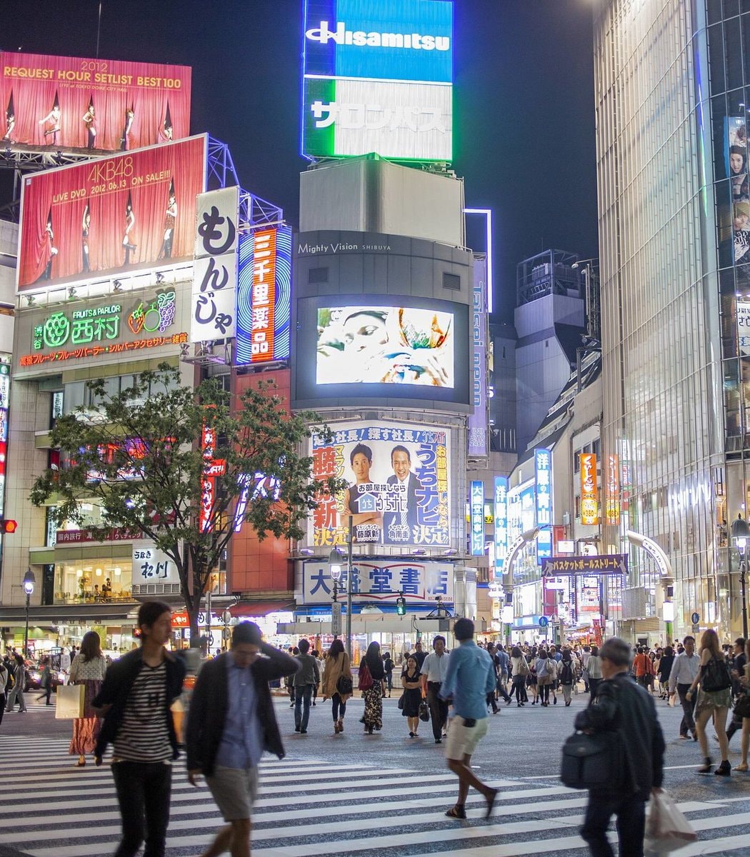 Japan foreign immigration opposition survey