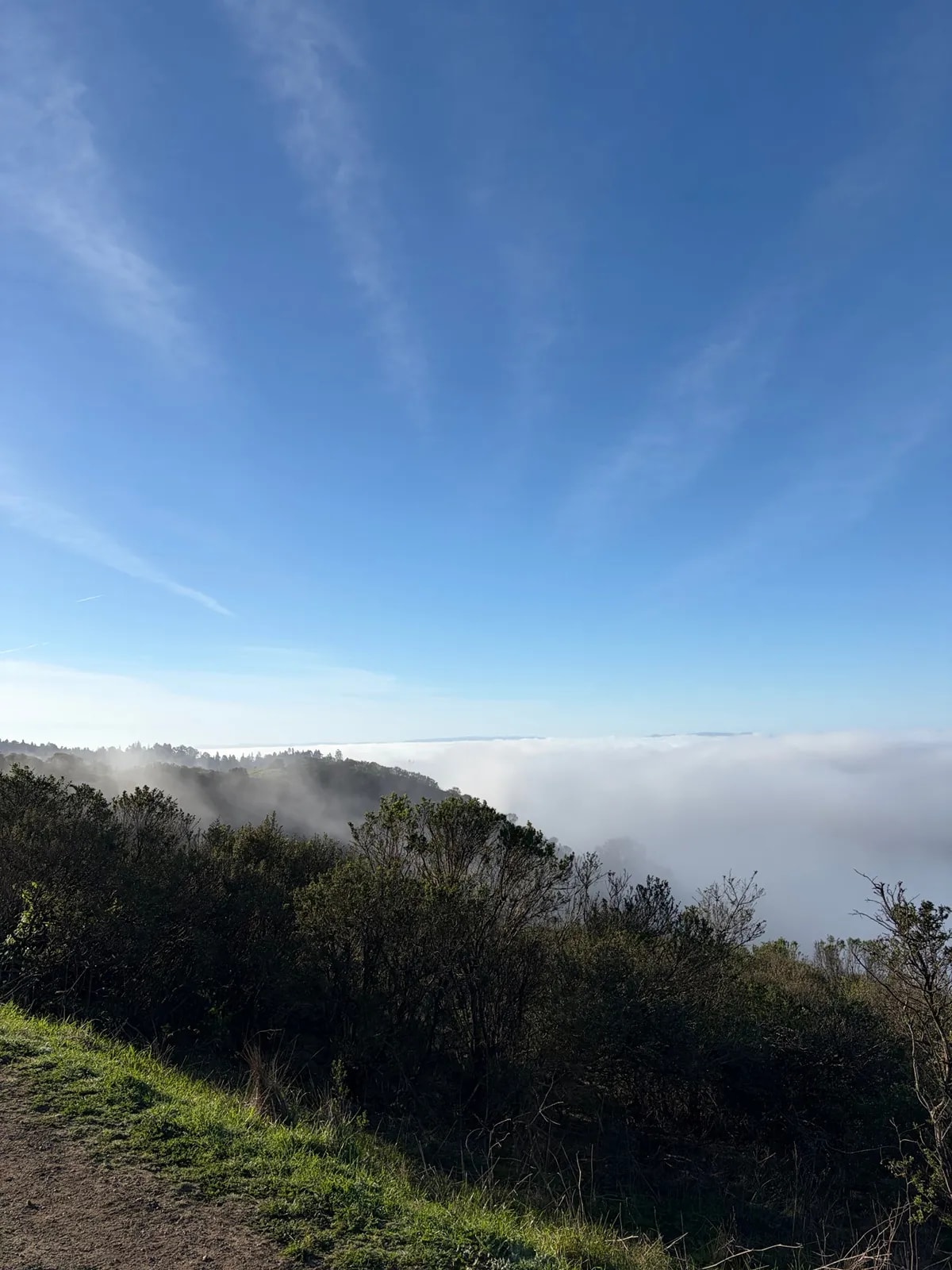 Clouds doing something worth looking at