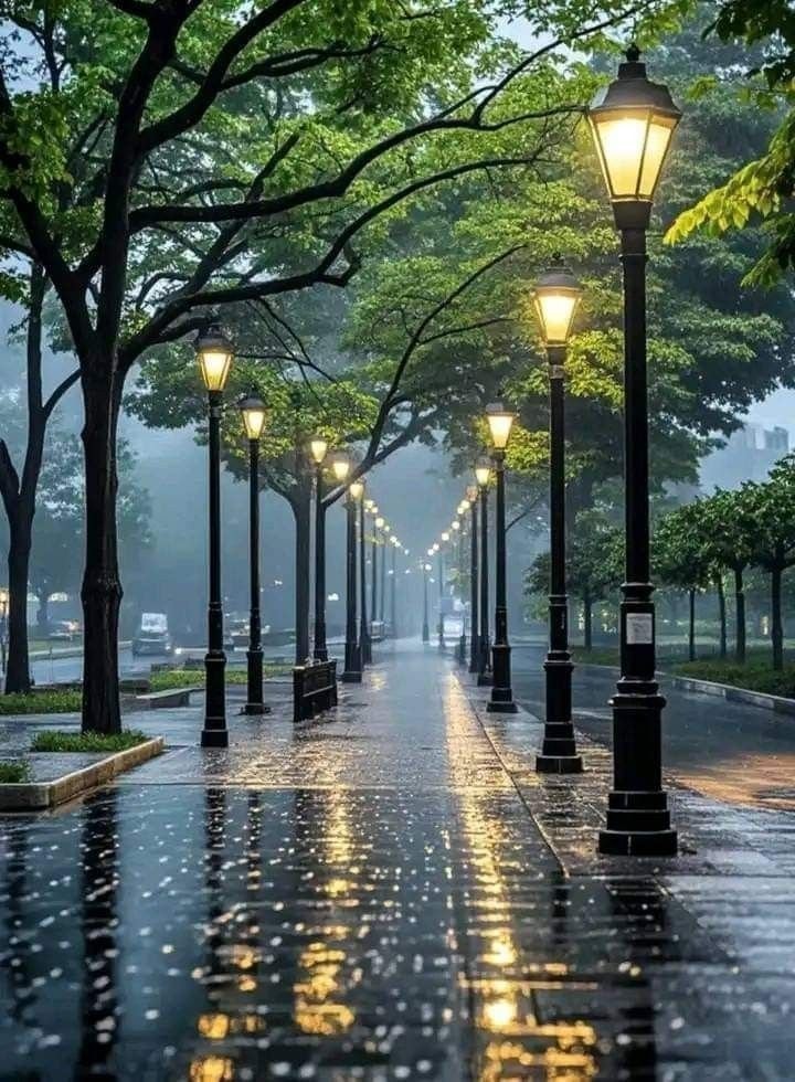 Rainy street lamppost reflections