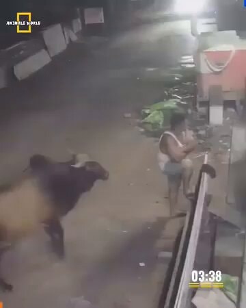 Unbelievable funny moments