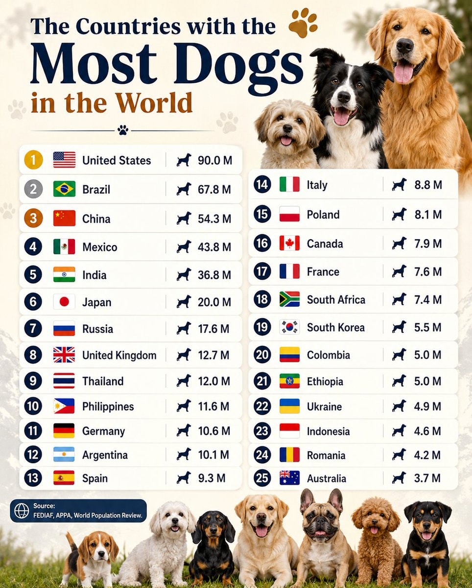Countries with most dogs ranked Countries with most dogs ranked
