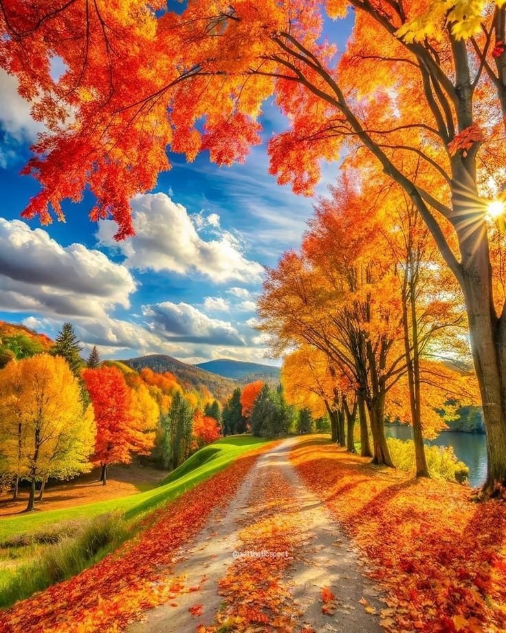 Autumn mornings