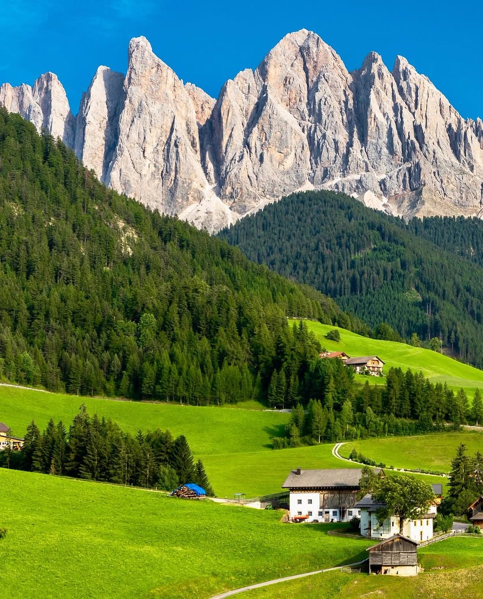 Swiss Alps morning (photo 3 of 4)
