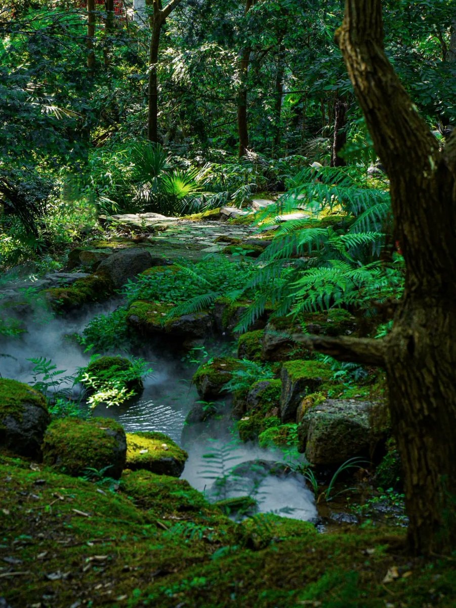 Huangling Scenic Area Jiangxi (photo 4 of 4)