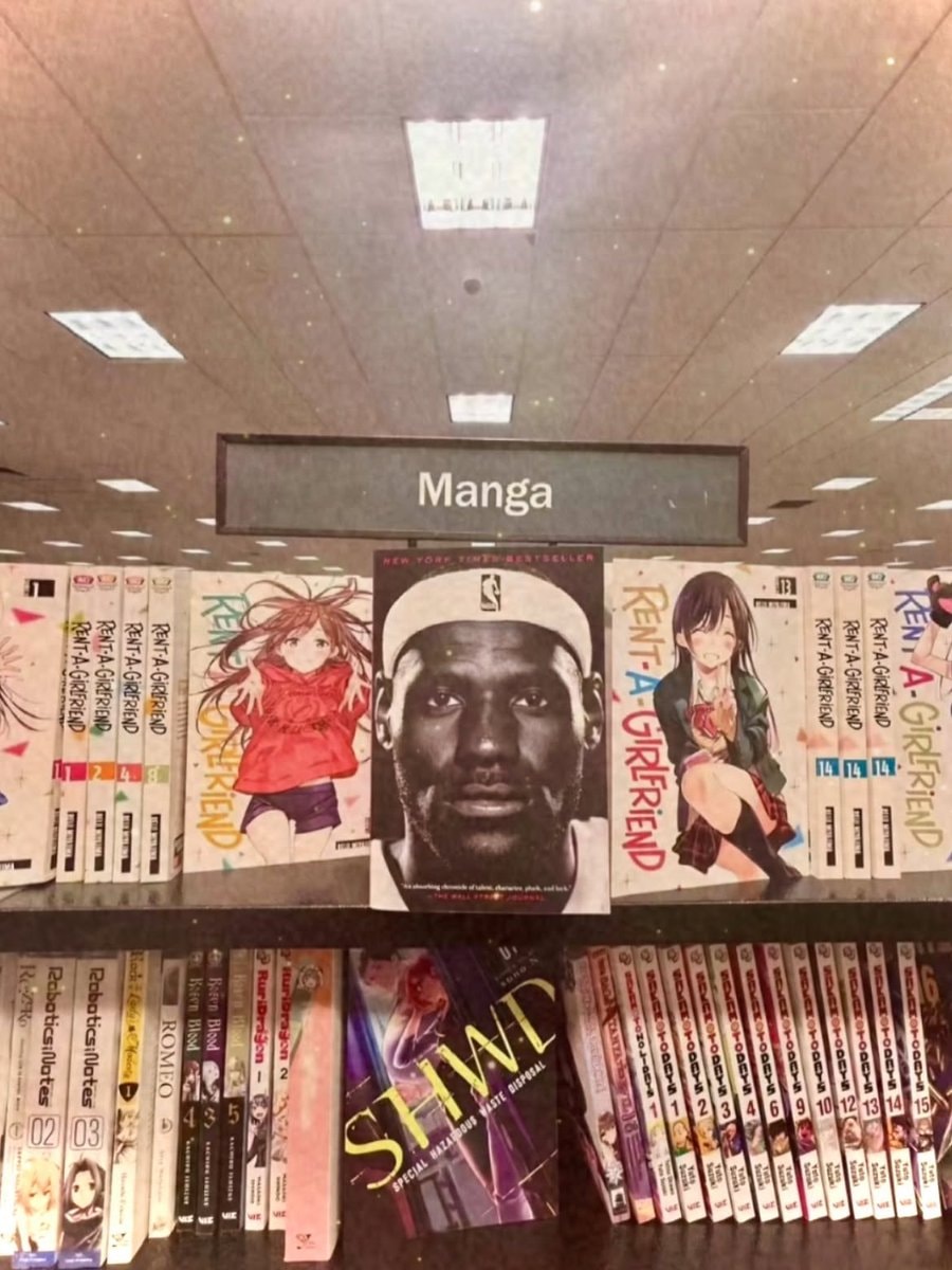 LeBron James manga book