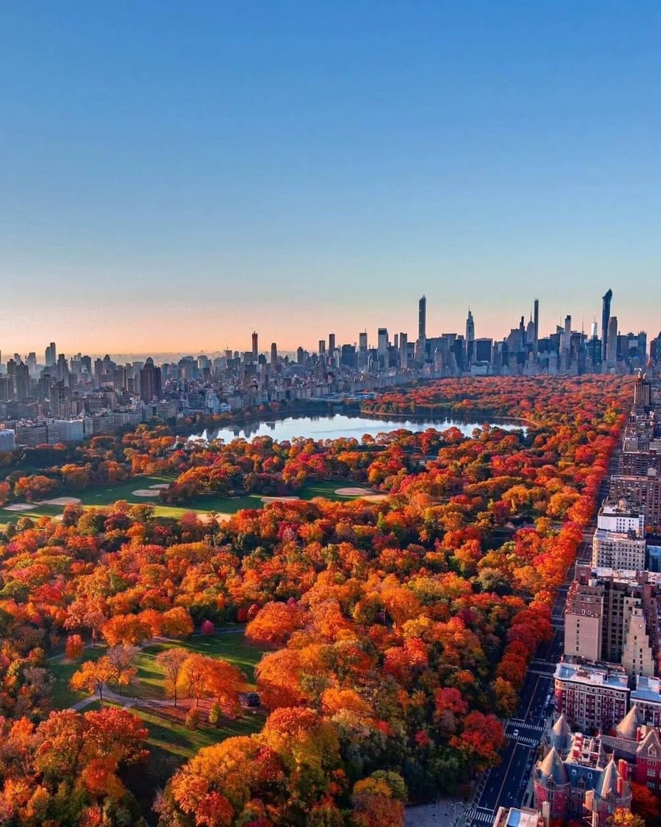 Central Park New York (photo 2 of 4)