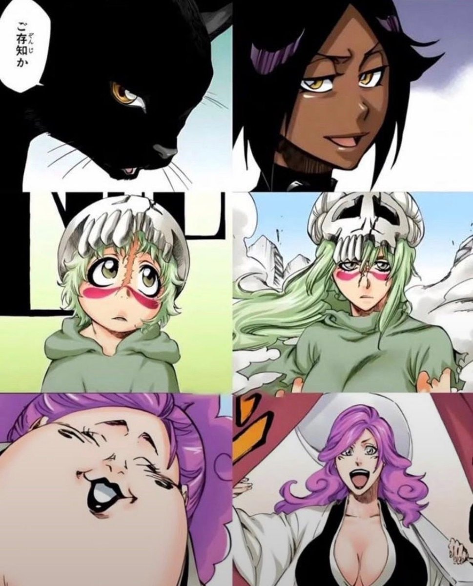 Bleach transformation sequences
