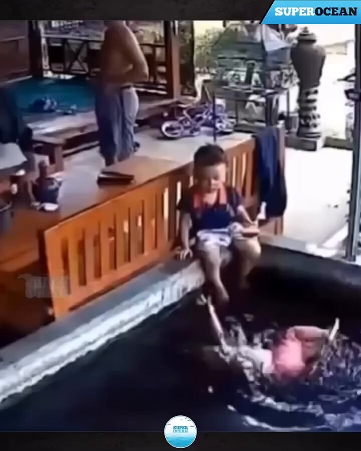 Never turn your back in the wild