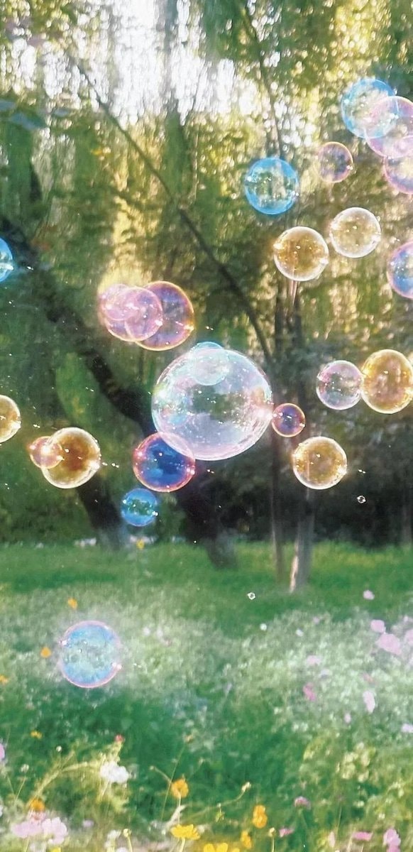 bubbles over flower field (photo 2 of 2)