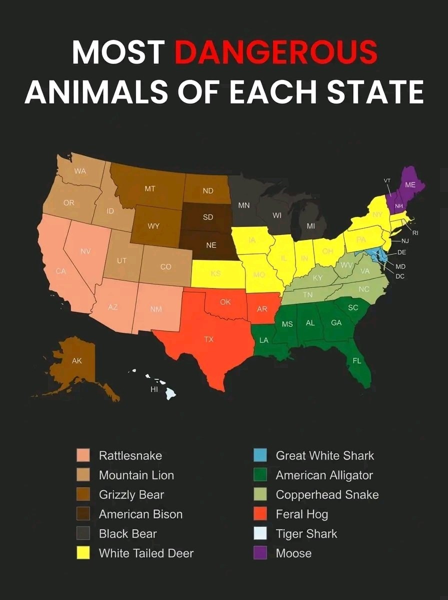 Most dangerous animal per US state