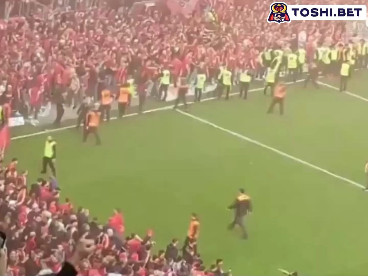 Bayer Leverkusen pitch invasion