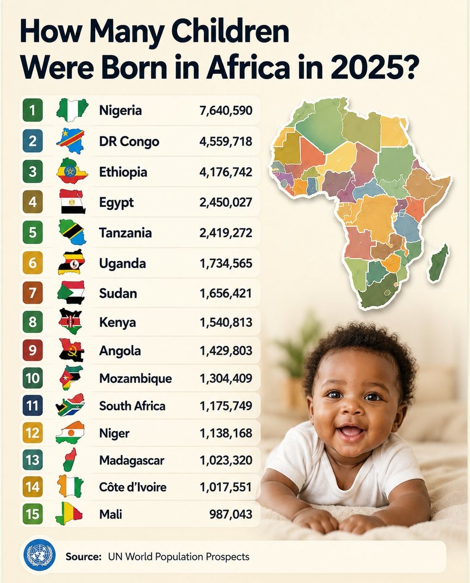 Africa 2025 birth rates by country Africa 2025 birth rates by country
