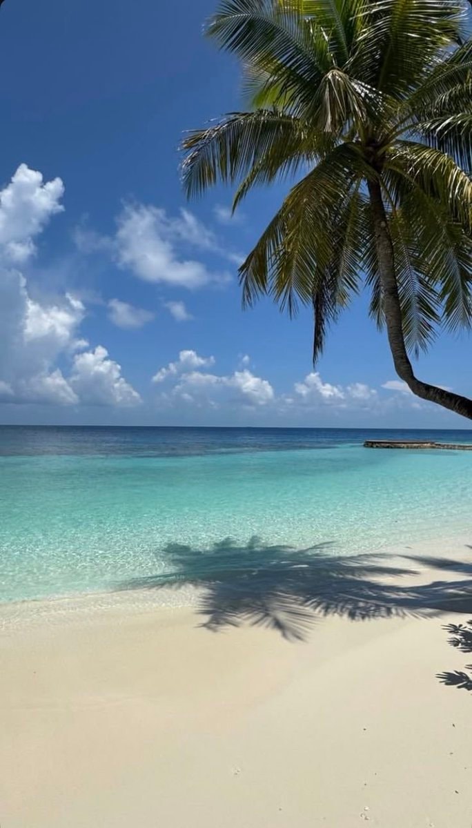 Maldives beach scene