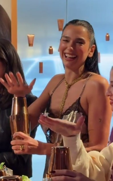 Dua Lipa bartender (photo 2 of 4)