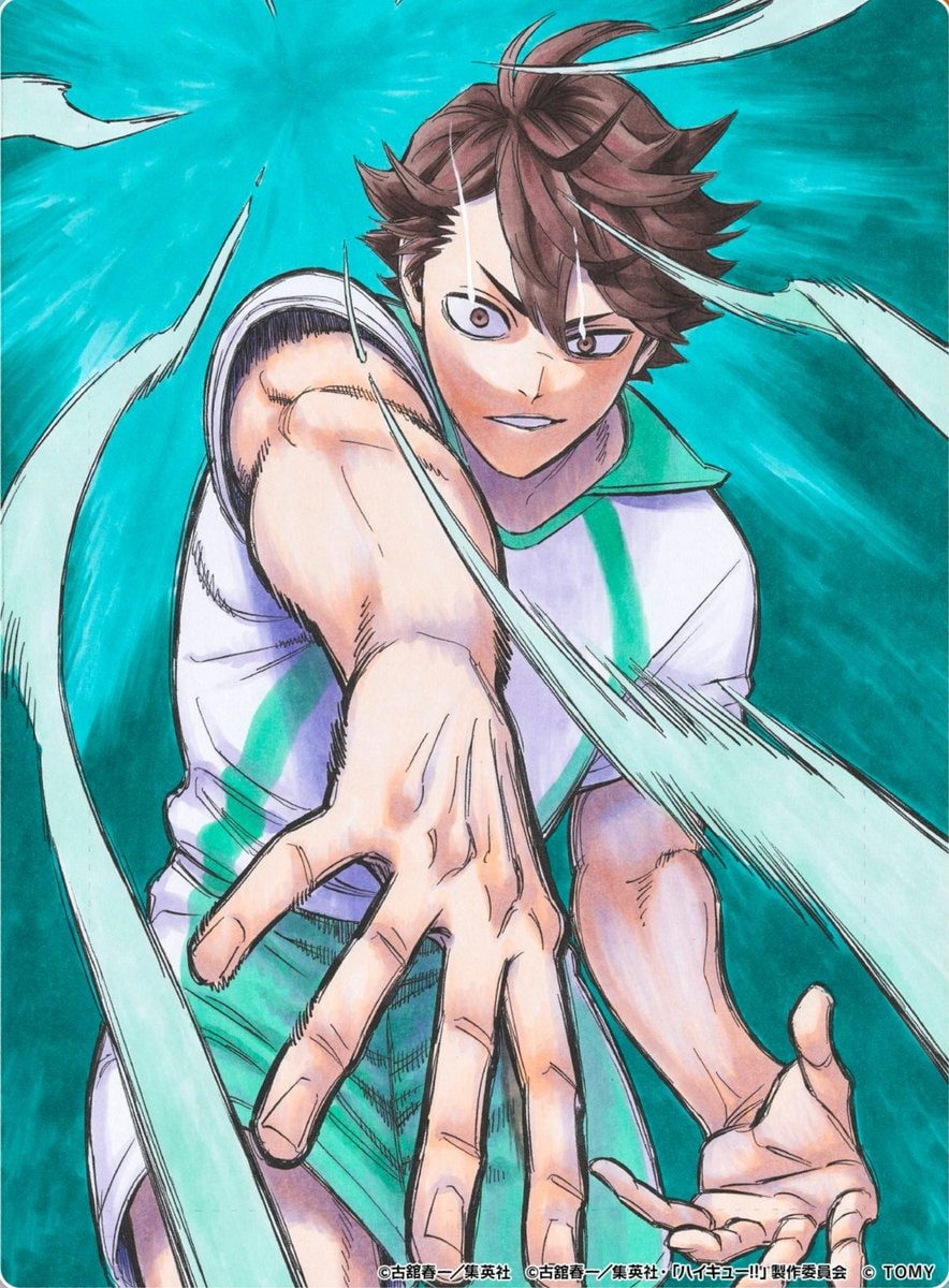 HAIKYU!! vs The Little Giant 2027 (photo 3 of 4)