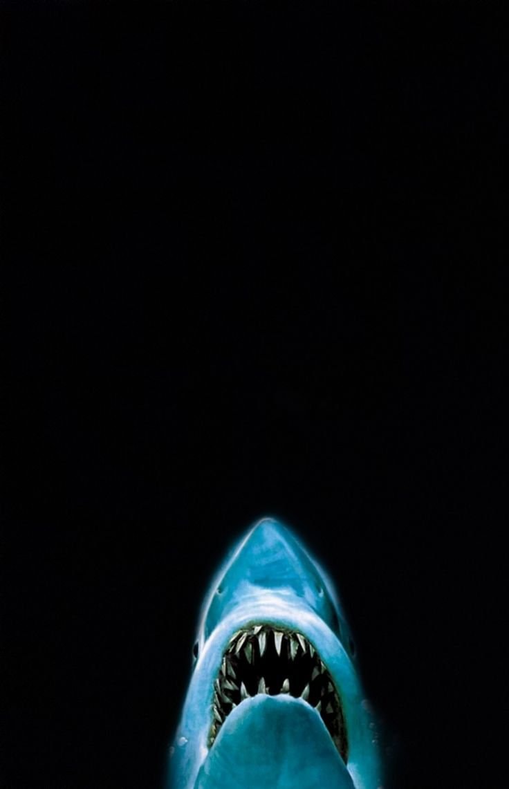Great White Shark Swimming Upwards (photo 2 of 2)
