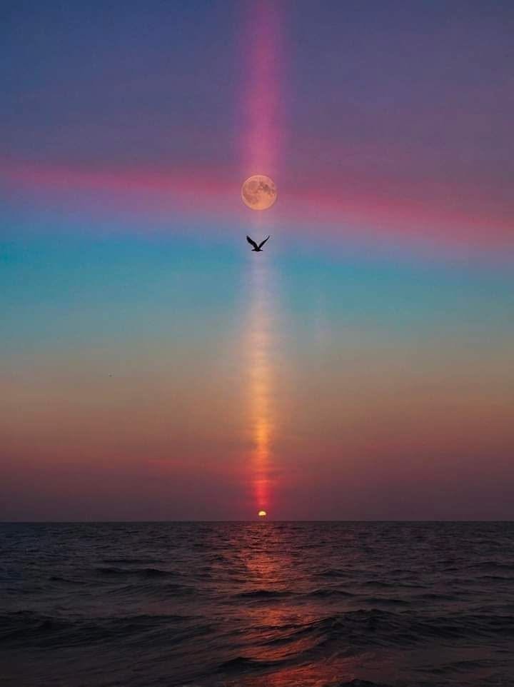 Serene natural scene