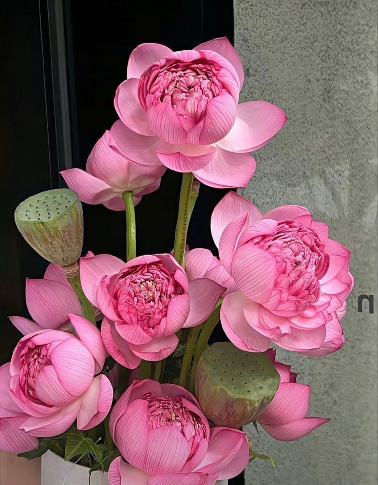 Pink lotus flowers in vase (photo 2 of 4)