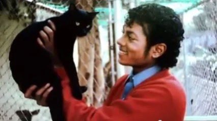 Michael Jackson with ginger kitten (photo 2 of 3) Michael Jackson with ginger kitten (photo 2 of 3)