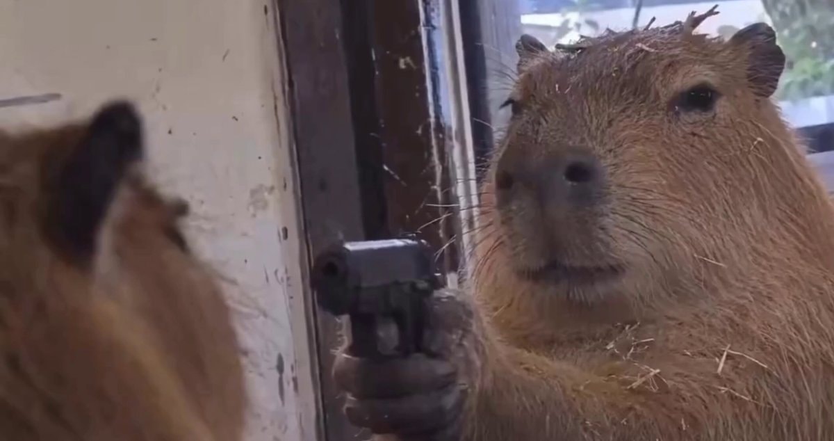 capybara with a gun deciding