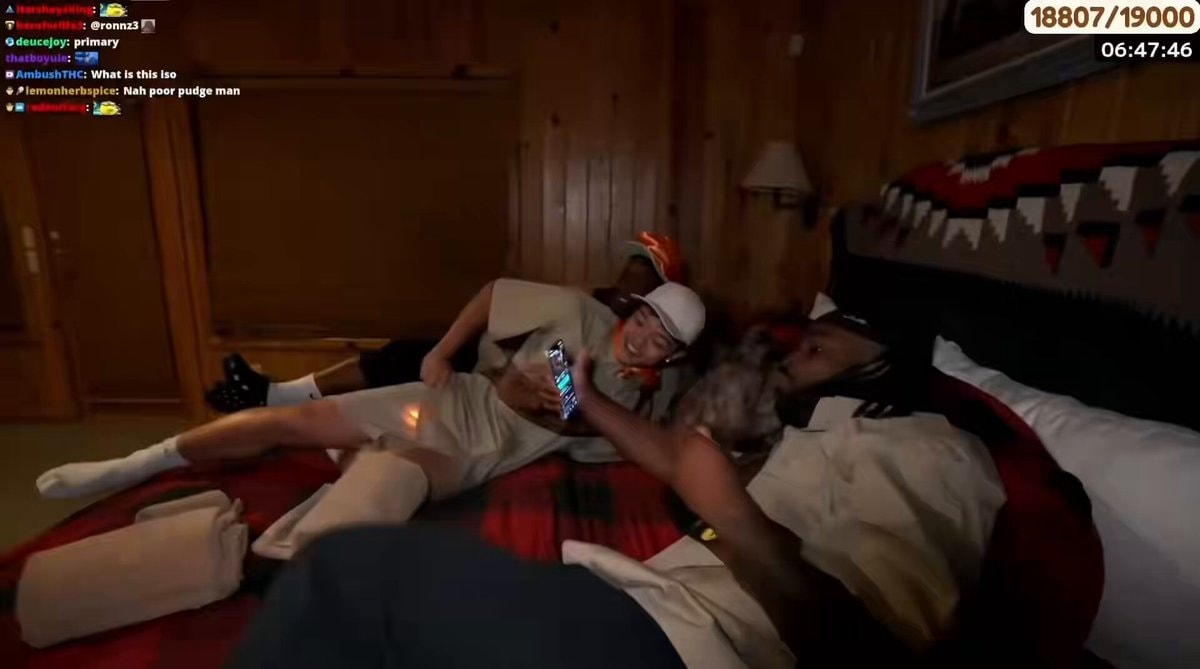 Pudgie jumps on bed with DuB JasonTheWeen Tbvnks Pudgie jumps on bed with DuB JasonTheWeen Tbvnks