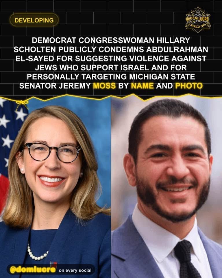 Hillary Scholten condemns Abdulrahman El-Sayed