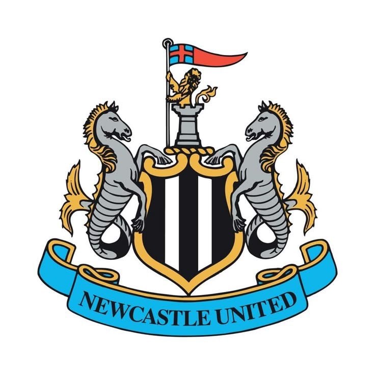 Ousmane Diabate Newcastle United transfer (photo 2 of 2)