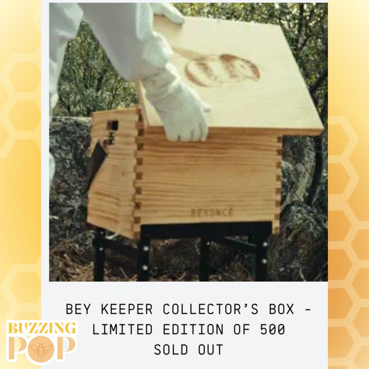 Beyoncé Bee Keeper boxes (photo 2 of 2)