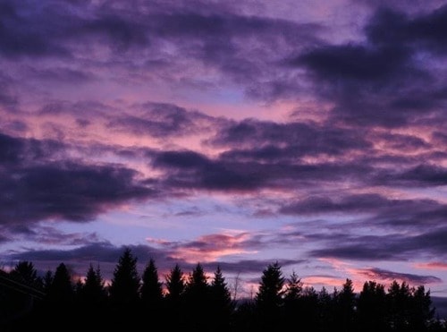 purple sunset landscape (photo 2 of 2)