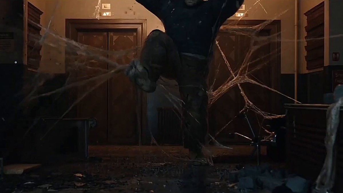 Person caught in spiderweb