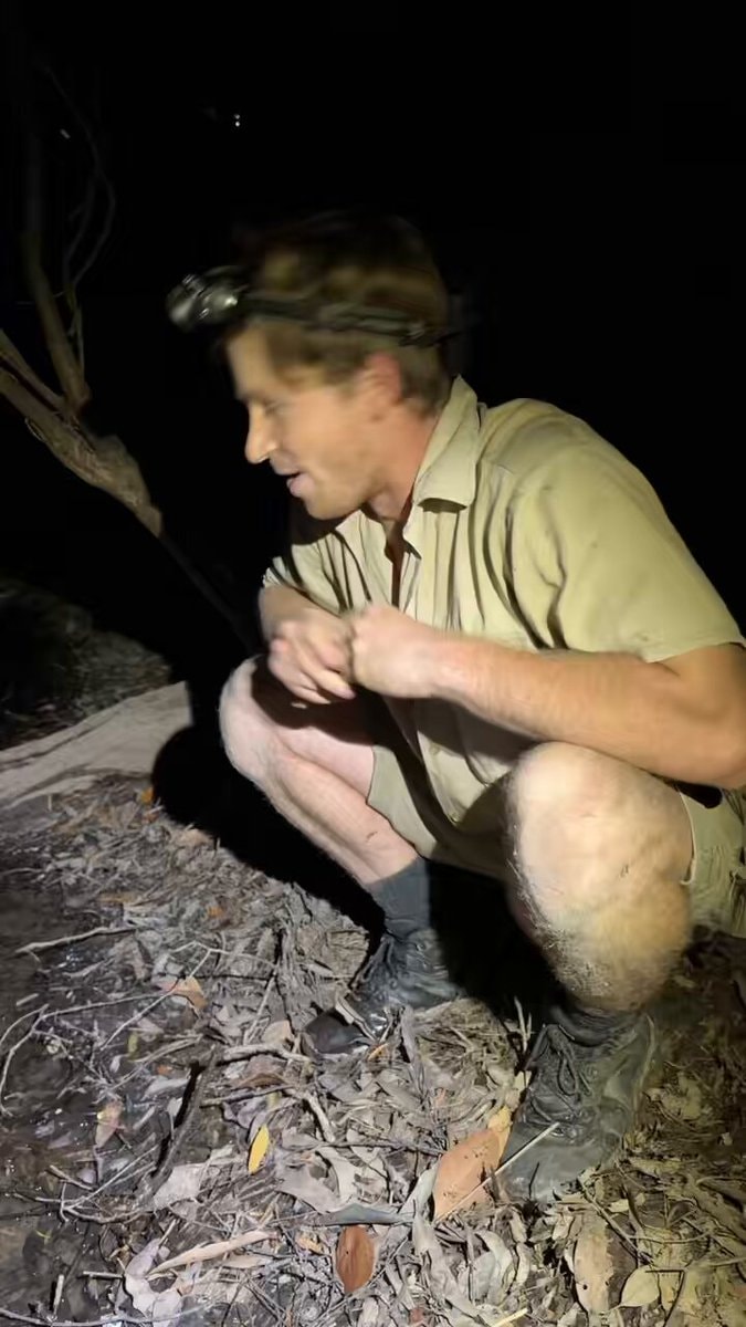 Robert Irwin file snake encounter