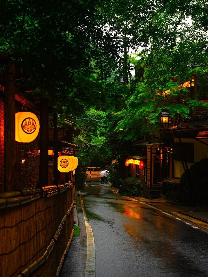 Japan rainy village street