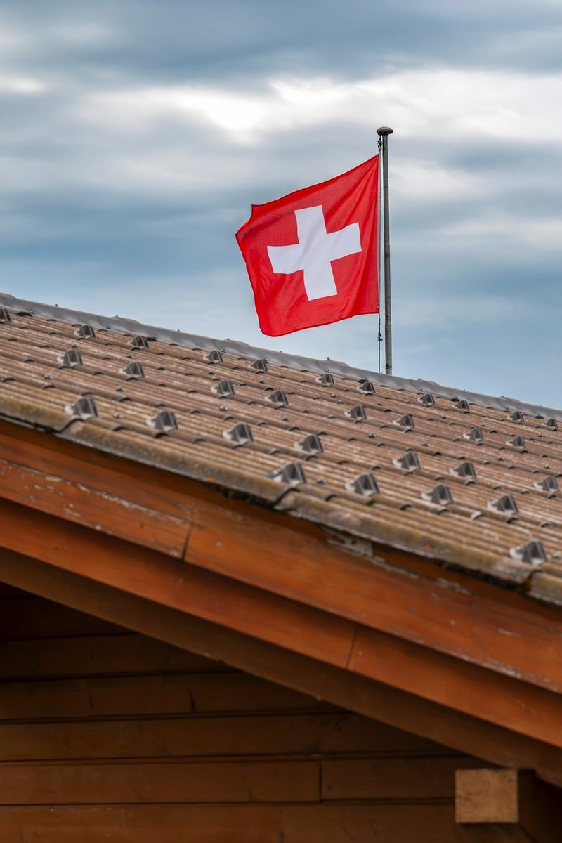 Swiss town fines for unwashed dog pee (photo 2 of 2)