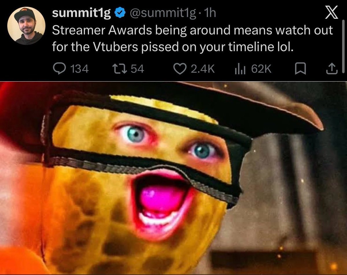 Summit1g Streamer Awards VTuber
